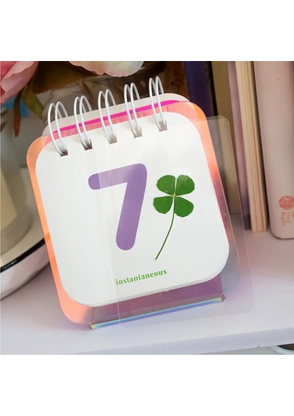 Gerçek 4 Yapraklı Yonca Lamine Edilmiş Harika Bir Hediye 2 Adet