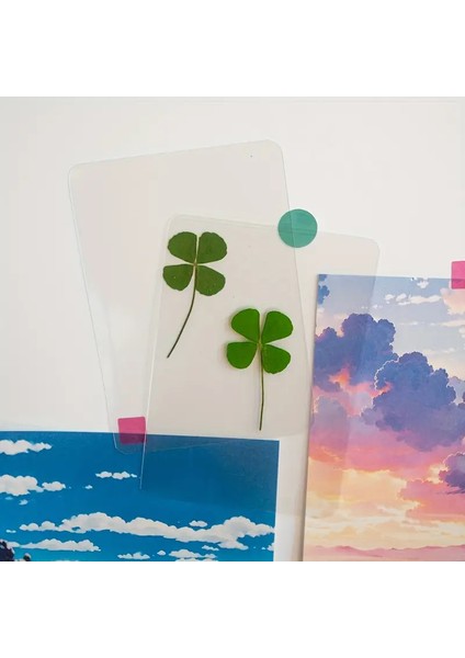 Gerçek 4 Yapraklı Yonca Lamine Edilmiş Harika Bir Hediye 2 Adet fiyatları