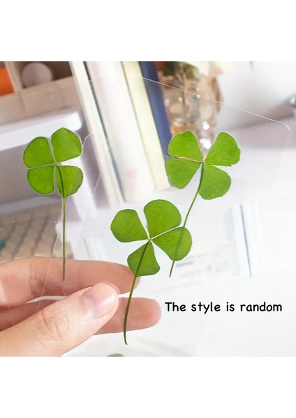 Gerçek 4 Yapraklı Yonca Lamine Edilmiş Harika Bir Hediye 2 Adet modelleri