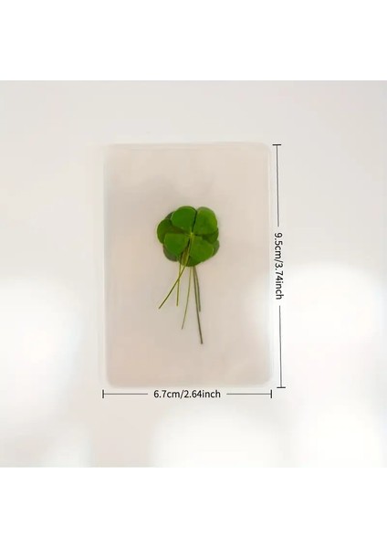 Gerçek 4 Yapraklı Yonca Lamine Edilmiş Harika Bir Hediye 2 Adet fırsatları