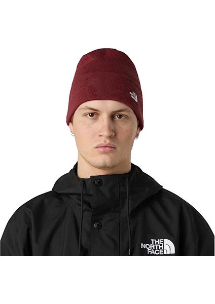 Norm Beanie Unisex Outdoor Beresi NF0A5FW10VO1 Kırmızı modelleri
