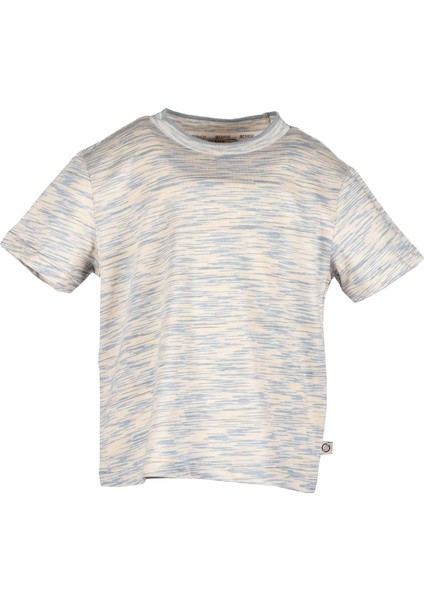 Organik Çizgili Mavi Yazlık Erkek Çocuk Tshirt fiyatları