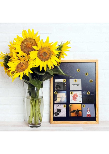 Ayçiçeği Itme Pimleri Ayçiçeği Çakalar Çiçek Cork Tahtası Tacks Fotoğraflar Için Ayçiçeği Başparmak Tacks Duvar Haritaları (40 Pcs) (Yurt Dışından) fırsatları