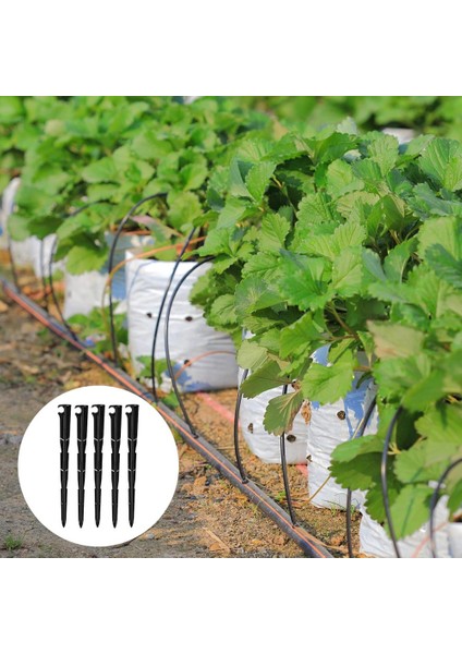 100 Pcs Sulama Damlama Destek Pahası 1/4inch Evrensel Damla Çizgileri Tüp Hortum Damlama Sulama Hortum Hortum Hortum Tutucu (Yurt Dışından) indirimleri