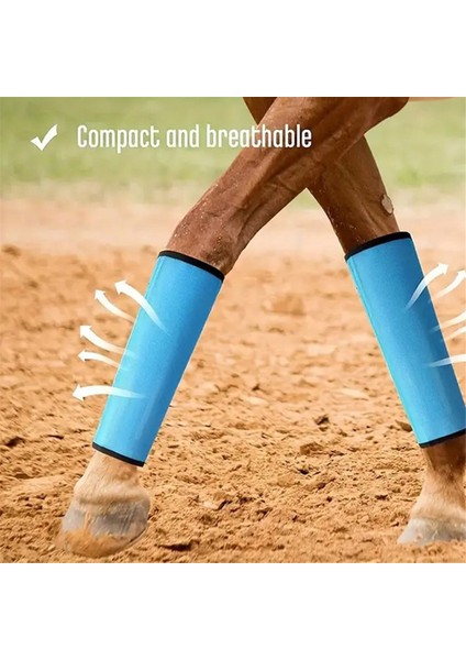 4 Adet At Seti 4 At Tayt Bacak Saksları Spor Eğitim Profesyonel Malzemeleri Mavi (Yurt Dışından) fırsatları
