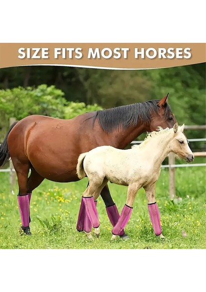 4 Adet At Seti 4 At Tayt Bacak Saksları Spor Eğitim Profesyonel Malzemeleri Mavi (Yurt Dışından) indirimleri