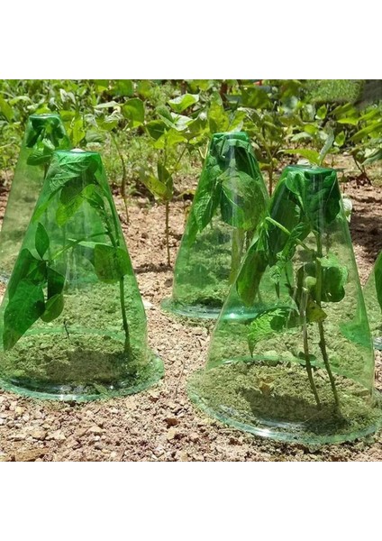 12 Adet/set Bahçe Cloches Optimal Bitki Büyümesi ve Çeşitli Bitkiler Için Uygun Koruma, Bitkileri Korumak Için Kapaklar (Yurt Dışından) fiyatları