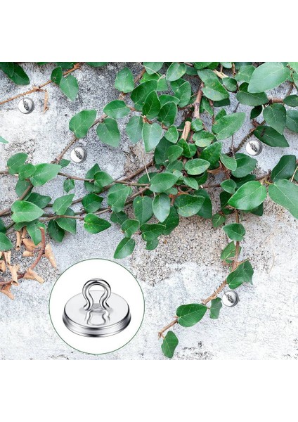 100 Adet Kafes Çapa Bitkisi Ankraj Duvar Tırmanma Bitkisi Ankrajlar Asma Kafes Çapa Bitkisi Kafes Sistem Kitleri (Yurt Dışından) indirimleri