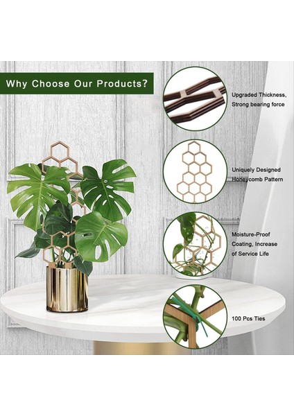 3 Adet Ahşap Petek Bitki Tırmanma Standı Kafes Tırmanma Bitkisi Standı Bahçecilik Saksı Standı Sabit Destek Direği (Yurt Dışından) fiyatları