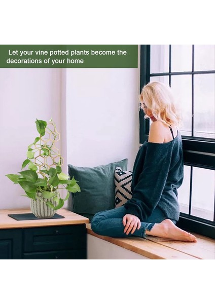 3 Adet Ahşap Petek Bitki Tırmanma Standı Kafes Tırmanma Bitkisi Standı Bahçecilik Saksı Standı Sabit Destek Direği (Yurt Dışından) modelleri