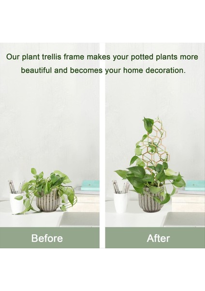 3 Adet Ahşap Petek Bitki Tırmanma Standı Kafes Tırmanma Bitkisi Standı Bahçecilik Saksı Standı Sabit Destek Direği (Yurt Dışından) indirimleri