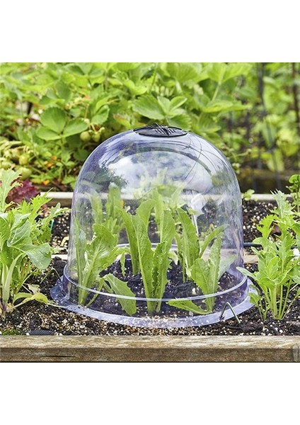 12 Adet Yeniden Kullanılabilir Plastik Sera Bahçe Bitki Zili Kapak Bitki Çimlenme Kapağı Kubbe Don Koruma Donma Koruması (Yurt Dışından) fırsatları