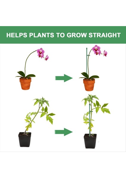 Bitki Bahisleri Setleri, Kapalı ve Dış Mekan Bitkileri Için Bağlantı Borusu ile Bitki Çubukları, Yeşil Ayarlanabilir Bitki Destek Kazığı (Yurt Dışından) modelleri