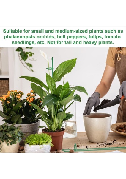 Bitki Bahisleri Setleri, Kapalı ve Dış Mekan Bitkileri Için Bağlantı Borusu ile Bitki Çubukları, Yeşil Ayarlanabilir Bitki Destek Kazığı (Yurt Dışından) fırsatları