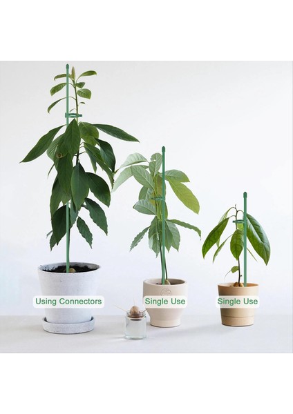 Bitki Bahisleri Setleri, Kapalı ve Dış Mekan Bitkileri Için Bağlantı Borusu ile Bitki Çubukları, Yeşil Ayarlanabilir Bitki Destek Kazığı (Yurt Dışından) indirimleri