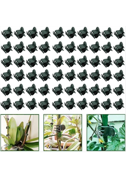 200PCS Orkide Klipsleri Bitki Destek Klipsleri, Güvenli Plastik Bitki Klipsli Bahçe Domates Bitki Destek Sapları Asma Sabitleme Klipsleri (Yurt Dışından) fiyatları