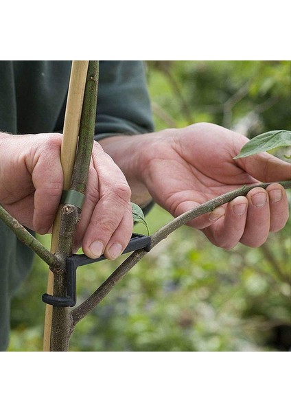 Şube Serpiriciler Bitki Kök Izi Meyve Ağacı Şube Çekme Makine Çiftlik Araçları Yeni Erik Ağacı Açık Açılı Çekme (Yurt Dışından) modelleri