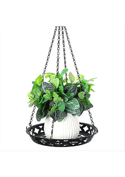2 Paket Metal Bitki Askı Iç Mekan Bitkileri Metal Bitki Askı (Yurt Dışından) fırsatları