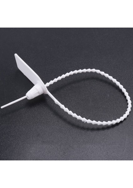 100 Plastik Kurcalama Contaları, Numaralı Fermuar Bağları, Yangın Söndürücü Için Tek Kullanımlık Kendi Kendine Kilitleme Tabelası, Nakliye, 250MM A (Yurt Dışından)