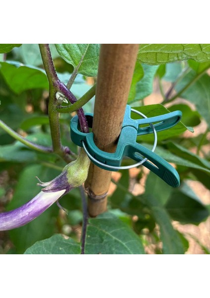 Küçük Botanik Bahçe Klipsi Seti Plastik Klipler ve Diğer Bitkiler (Yurt Dışından) indirimleri