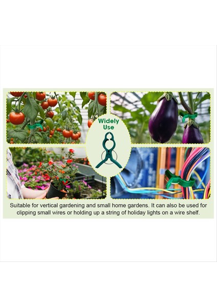 Bitki Saplarını, Sapları ve Sarmaşıkları Kolayca Desteklemek ve Düzeltmek Için Küçük Yeşil Küçük Yumuşak Bahçe Bitkisi Kelepçeler (Yurt Dışından) modelleri