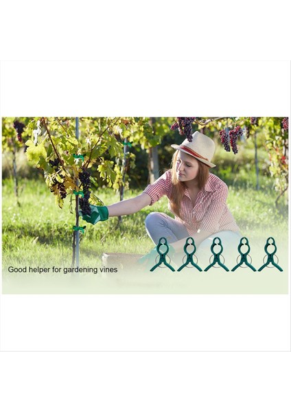 Bitki Saplarını, Sapları ve Sarmaşıkları Kolayca Desteklemek ve Düzeltmek Için Küçük Yeşil Küçük Yumuşak Bahçe Bitkisi Kelepçeler (Yurt Dışından) fırsatları