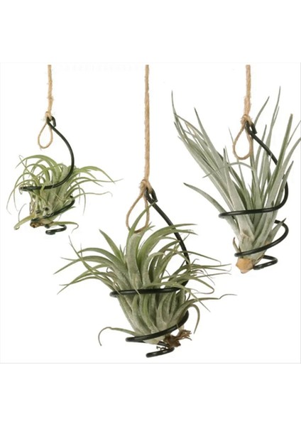 Hava Ananas Hook Asma Çiçek Standı Tencereler Ekran Askı Tutucu Demir (Yurt Dışından) fiyatları