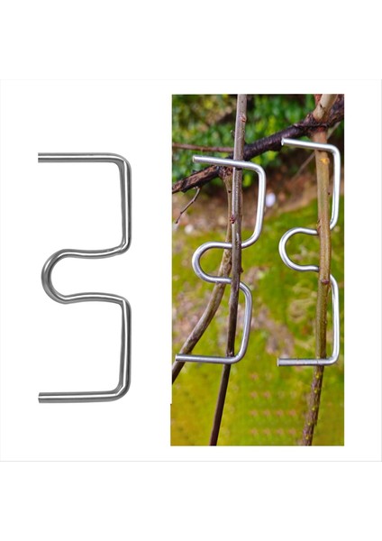 30 Adet Meyve Ağacı Dalı Çektirme Makinesi Çiftlik Aletleri Erik Ağacı Açık Açı Çekme Dalı Klişeleşmiş Dal Bükülme (Yurt Dışından) fırsatları