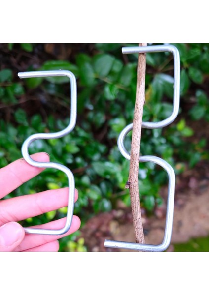 30 Adet Meyve Ağacı Dalı Çektirme Makinesi Çiftlik Aletleri Erik Ağacı Açık Açı Çekme Dalı Klişeleşmiş Dal Bükülme (Yurt Dışından) indirimleri