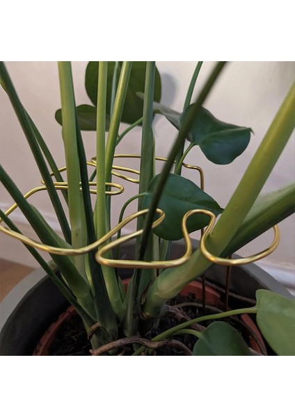 Monstera Şekilli Bitki Desteği Yeniden Kullanılabilir Sağlam Alaşım Bitki Kök Destek Tutucu Tesis Tutma Destek Otları Sebzeler B (Yurt Dışından) fiyatları