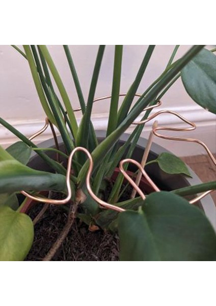 Monstera Şekilli Bitki Desteği Yeniden Kullanılabilir Sağlam Alaşım Bitki Kök Destek Tutucu Tesis Tutma Destek Otları Sebzeler B (Yurt Dışından) fırsatları