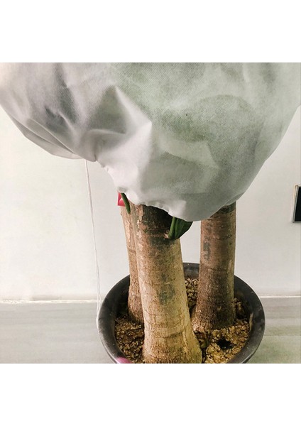 Bitki Örtüler Donma Koruması, Yeniden Kullanılabilir Bitki Donak Kapağı Battaniye Ceketi Için Ön Anti-Dondurma Koruma-Shrub (Yurt Dışından) modelleri