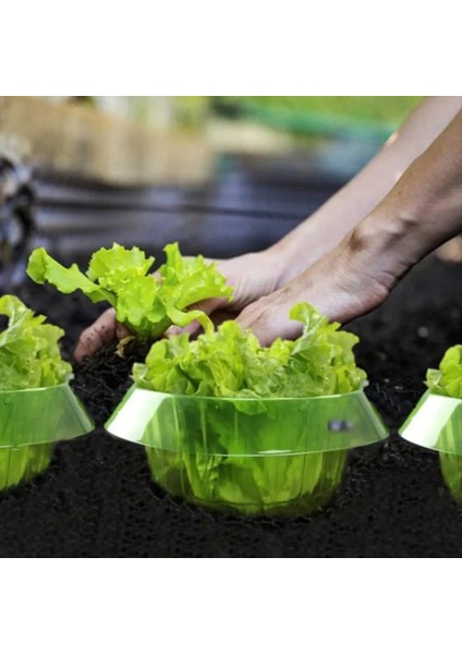 10PCS Slug Koruma Sebzeleri Bitki Salyangoz Yaka Koruma Bahçesi (Yurt Dışından) fırsatları