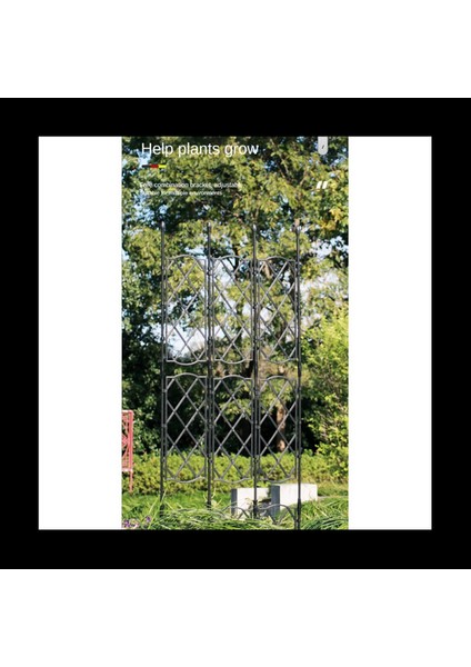 Bitki Tırmanma Rattan Çerçeve Açık Tırmanma Bitki Bahçe Kafesi Saksı Tesis Kafes Kesim Bitki Destek Ekran Tarzı Çerçeve (Yurt Dışından) modelleri