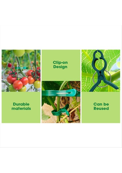 Bitki Gövdelerini, Sapları ve Sarmaşıkları Kolayca Desteklemek ve Düzeltmek Için Büyük Yeşil Küçük Yumuşak Bahçe Bitkisi Kelepçeleri (Yurt Dışından) indirimleri