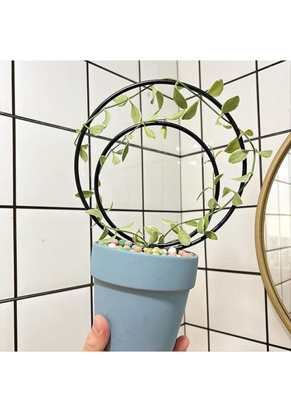 Tırmanma Için 3 Kapalı Yuvarlak Bitki Kafes Seti, Saksı Sarmaşık Için Metal Çerçeveler, Açık Saksı Planları Destek, B (Yurt Dışından) indirimleri