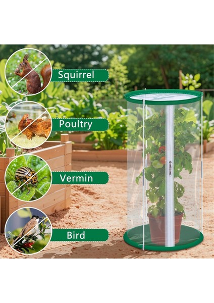 2pcs Pvc Mini Sera, 23.6 x 11.8 Inç Şeffaf Çiçek Bitkisi Mini Sera Kapağı, Taşınabilir Bitki Koruyucusu (Yurt Dışından) indirimleri