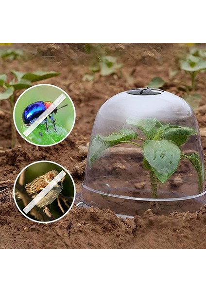Yeniden Kullanılabilir Bahçe Bitkisi Cloche, Bitki Kubbesi Kapağı Plastik Mini Sera Isınma Bahçe Toprak Bitkileri Don Korur (Yurt Dışından) fiyatları