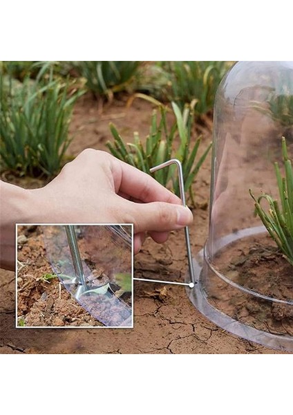 Yeniden Kullanılabilir Bahçe Bitkisi Cloche, Bitki Kubbesi Kapağı Plastik Mini Sera Isınma Bahçe Toprak Bitkileri Don Korur (Yurt Dışından) modelleri
