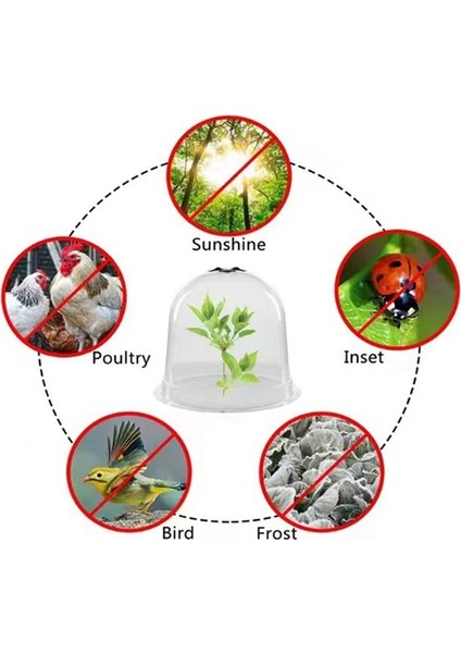 Yeniden Kullanılabilir Bahçe Bitkisi Cloche, Bitki Kubbesi Kapağı Plastik Mini Sera Isınma Bahçe Toprak Bitkileri Don Korur (Yurt Dışından) indirimleri