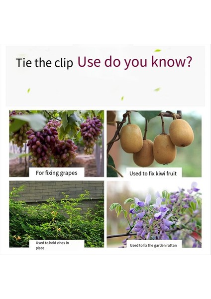 Sebze Greftleme Sabit Bundler Vine Bağlantı Eleman Demeti Klipsi Sera Bitki Sabit Kanca Ev Bahçecilik Araçları (Yurt Dışından) fırsatları