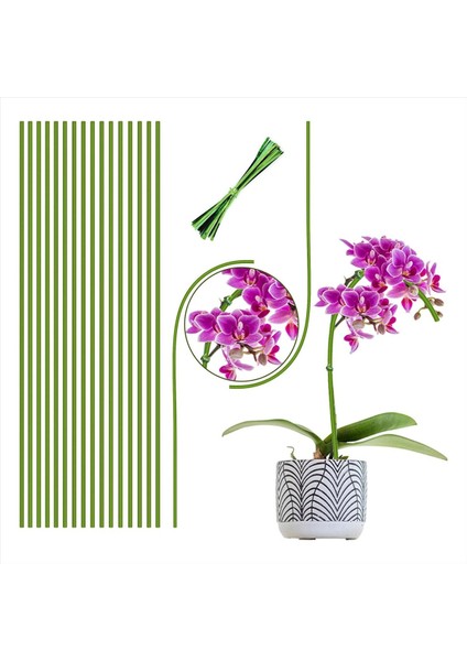 Bitki Bahisleri, Kapalı Bitkiler Için Uygun Bitki Destek Bahisleri, 20PCS Bahçe Yeşil Bükülebilir Tek Kök Bitki Çubukları (Yurt Dışından) fiyatları