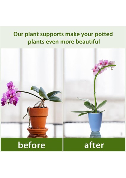 Bitki Bahisleri, Kapalı Bitkiler Için Uygun Bitki Destek Bahisleri, 20PCS Bahçe Yeşil Bükülebilir Tek Kök Bitki Çubukları (Yurt Dışından) indirimleri