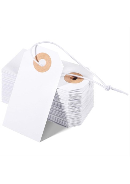 100 Paket Boş Etiket Elastik Dize Işaretleme Asmak Etiketler Ekli Takviyeli Delik Yazılabilir Boş Etiketler 2.75X1.37INCH (Yurt Dışından)