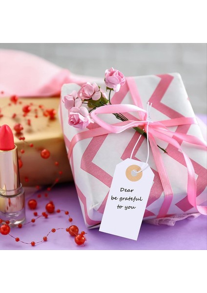 100 Paket Boş Etiket Elastik Dize Işaretleme Asmak Etiketler Ekli Takviyeli Delik Yazılabilir Boş Etiketler 2.75X1.37INCH (Yurt Dışından) fırsatları