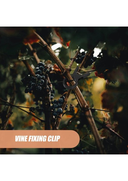 100PCS Bitki Aşılama Klipsli Plastik Bahçe Aracı Salatalık Patlıcan Karpuz, Yuvarlak Ağız Düz Ağız Antifall Kelepçe (Yurt Dışından) fırsatları