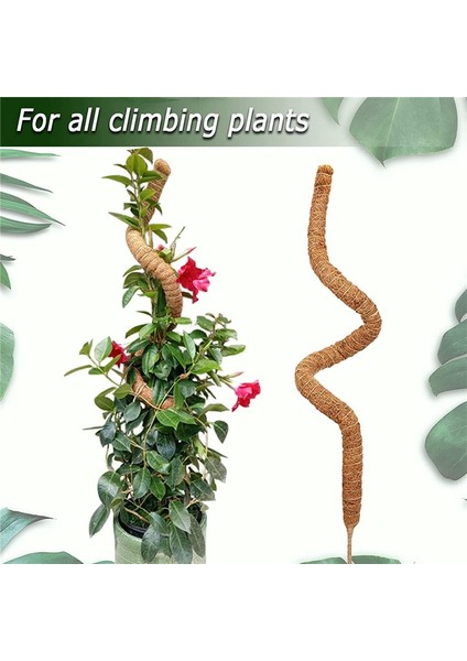 2pcs 48 Inç Yosun Direği, Bitkiler Için Bükülebilir Yosun Direği Monstera Tırmanma Bitkileri Kapalı, Bahçe Kafes Bitki Çubukları (Yurt Dışından) fiyatları