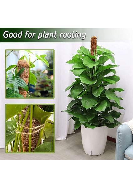 2pcs 48 Inç Yosun Direği, Bitkiler Için Bükülebilir Yosun Direği Monstera Tırmanma Bitkileri Kapalı, Bahçe Kafes Bitki Çubukları (Yurt Dışından) fırsatları