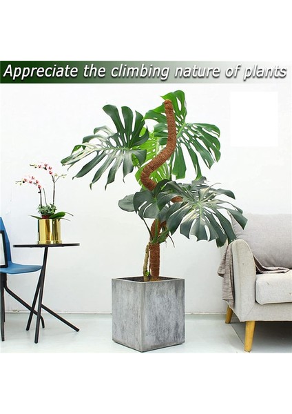 2pcs 48 Inç Yosun Direği, Bitkiler Için Bükülebilir Yosun Direği Monstera Tırmanma Bitkileri Kapalı, Bahçe Kafes Bitki Çubukları (Yurt Dışından) indirimleri