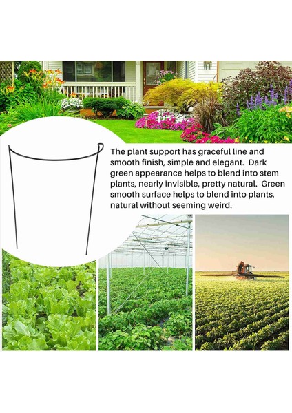 4 Pcs Bitki Destek Bütçeleri Yüzük Kafesi Metal Bahçe Fabrikası Giski Yeşil Yarım Yuvarlak Bitki Destek Yüzüğü Büyük Bitki Destekleri (Yurt Dışından) fırsatları